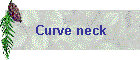 Curve neck